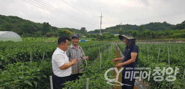 한종권 기술센터장이 여름철 농산물 관리 예찰을 하고 있다