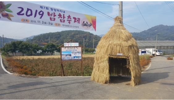 장평면 지천리 까치내마을에서 열리는 밤참축제 ( 자료사진)