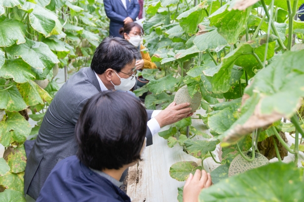 보통 가바라고 부르는 감마 아미노뷰티르산은 중추신경계에 작용하는 억제성 신경전달물질이다. 이 성분은 갱년기 장애 및 초기 노화 정신장애 개선, 불안 해소, 항경련 및 우울증 해소에 도움을 주는 것으로 알려져 있다.김돈곤 군수가 가바성분이 함유된 멜론을 살펴보고 있다.<br><br>