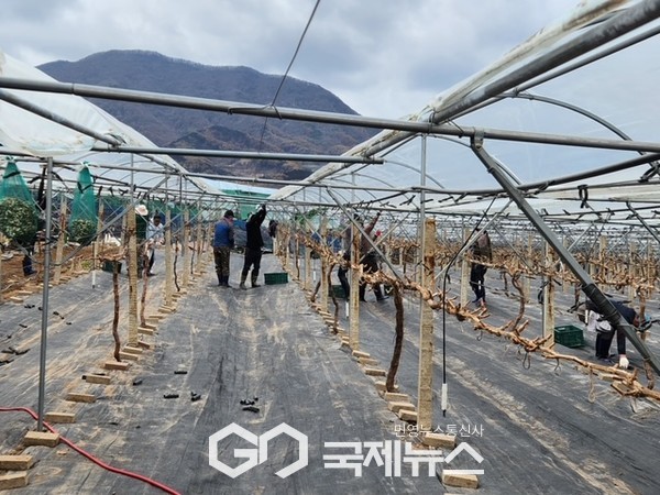 청양군 신규 귀농인 기초영농기술교육 시작 사진/청양군청 제공