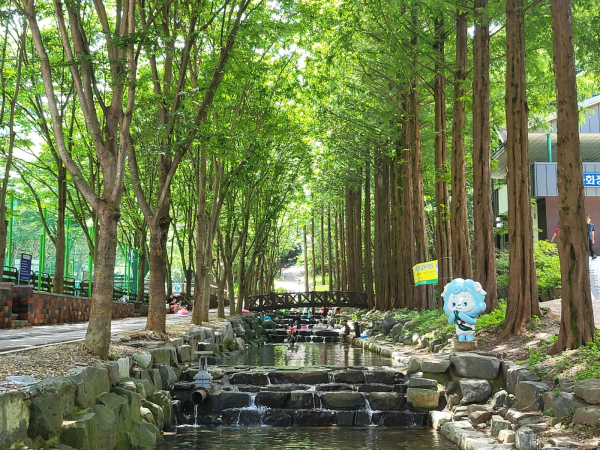 칠갑산자연휴양림, 5억 투입 시설 개선 후 7월 1일 재개장