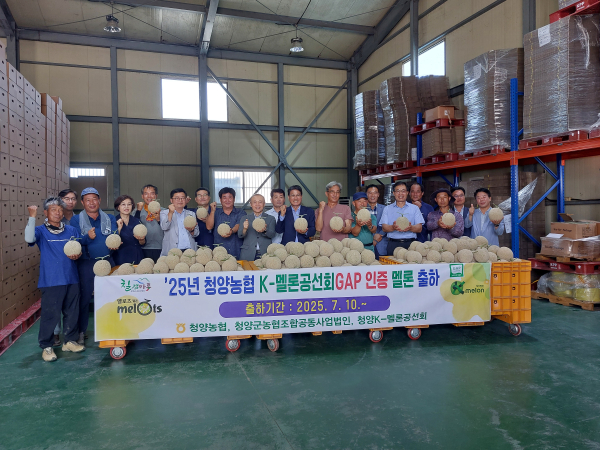청양 멜론, 최고 품질과 다양한 판로로 시장 선도!